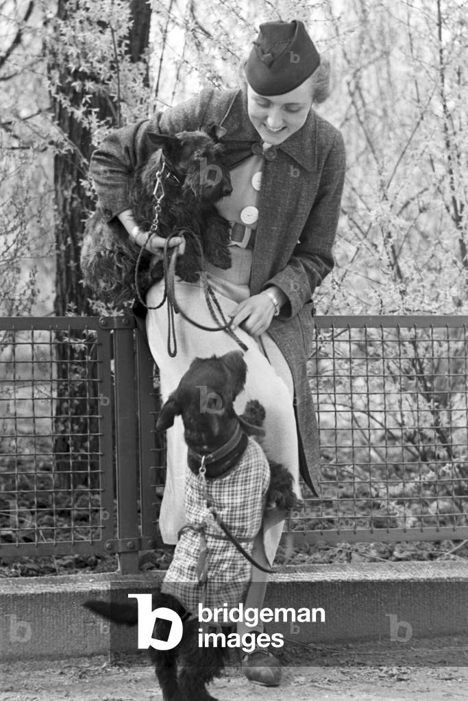 Visitation of a dog parlor, Germany 1930s (b/w photo)