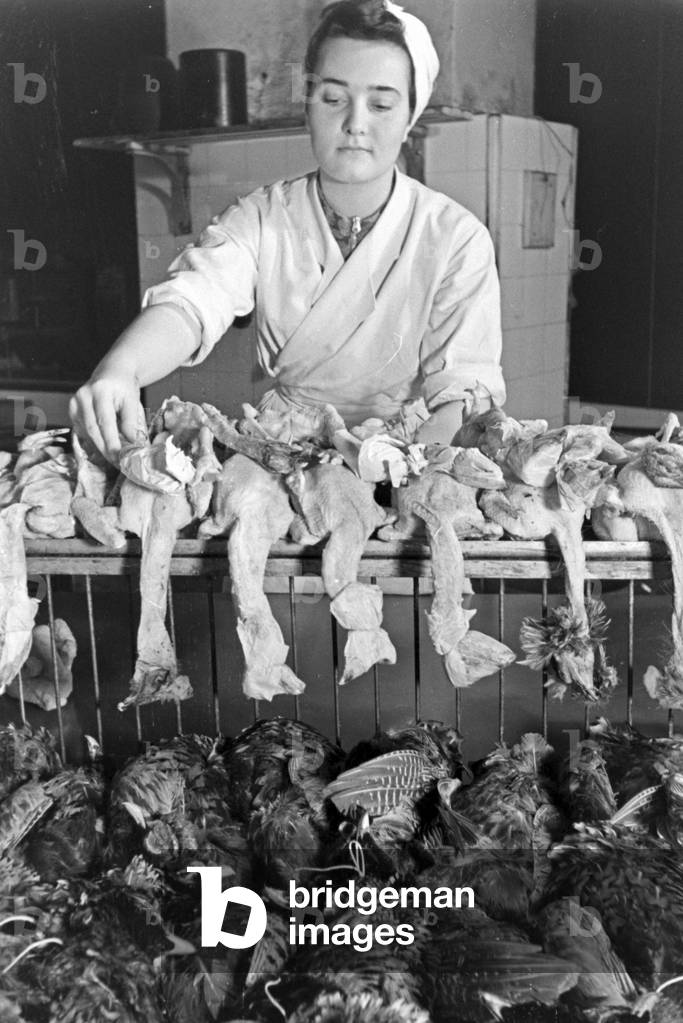 A woman with fresh poultry at the kitchen of a restaurant, Germany 1930s (b/w photo)