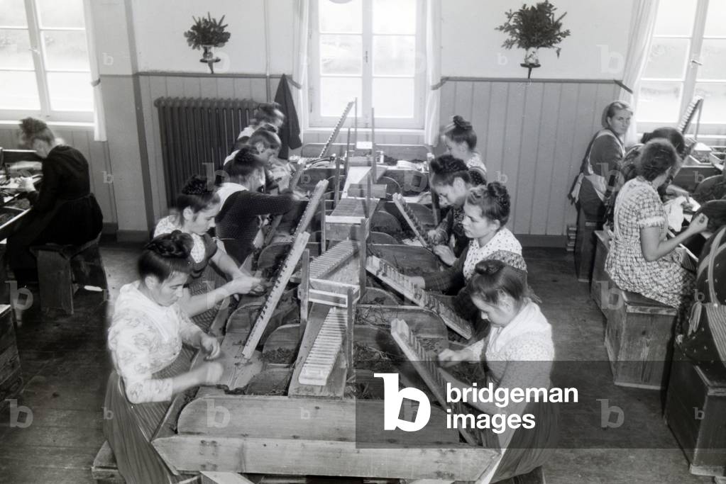 Female cigar rollers wearing a Marburg garb, costume at work in a cigar fabric near Marburg, Germany 1930s (b/w photo)