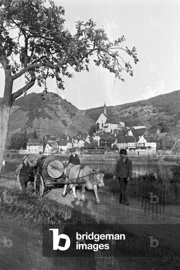 Winegrowers on their way to work, Germany 1930s (b/w photo)