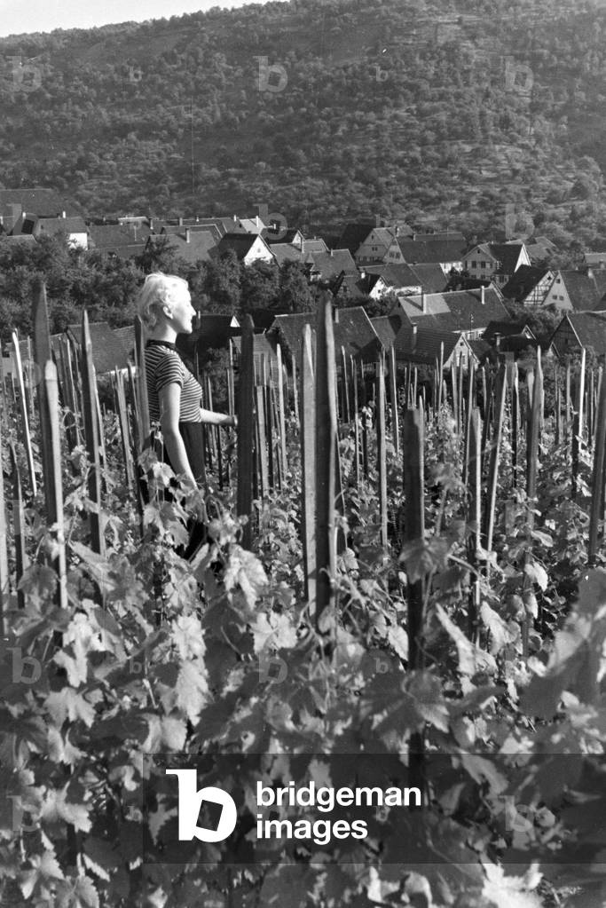 A young woman standing amidst the vineyards of Schnait (Weinstadt), Germany 1930s (b/w photo)