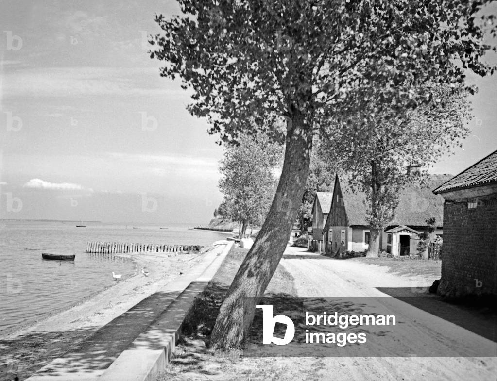 Rural street in the village Kahlholz near Vistula Lagoon, East Prussia 1930s (b/w photo)