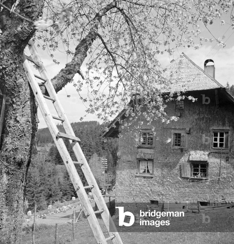 A trip to the Southern Black Forest, Germany 1930s (b/w photo)