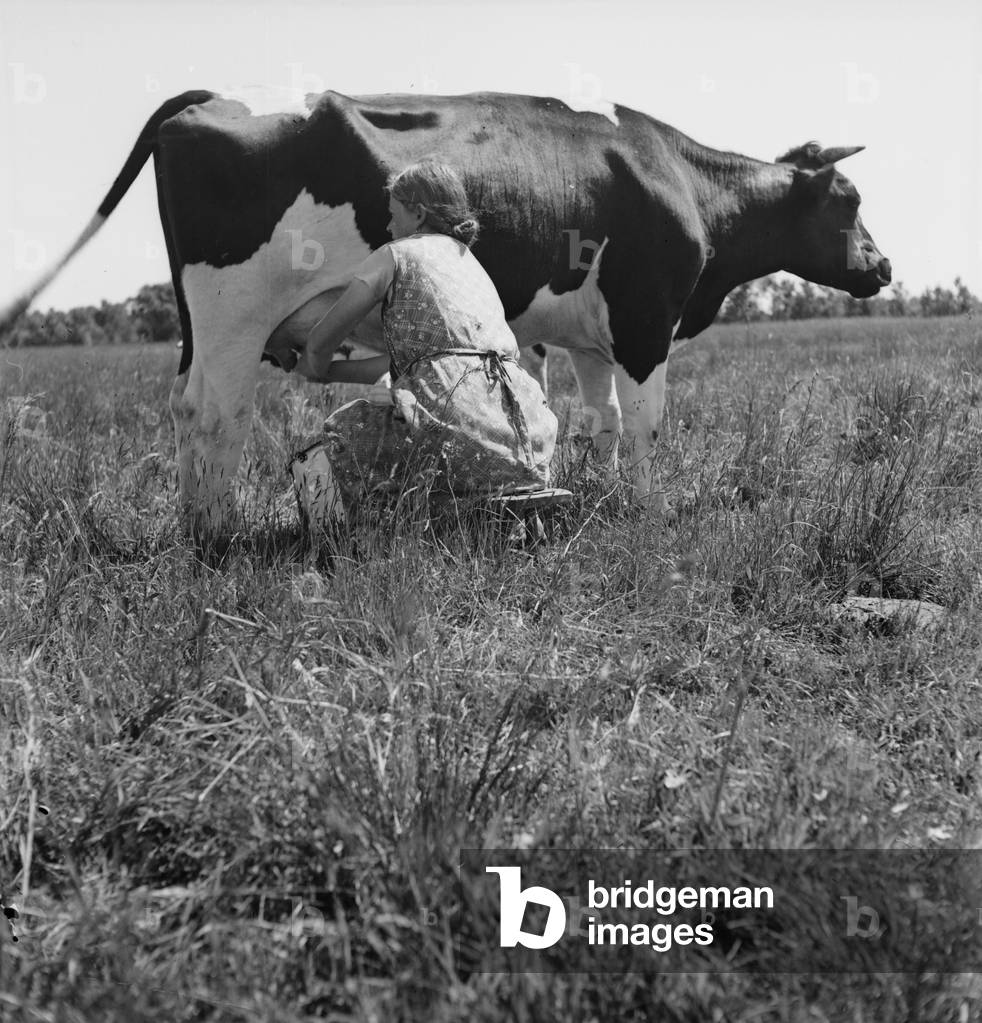 Summer in the countryside, Germany 1930s (b/w photo)