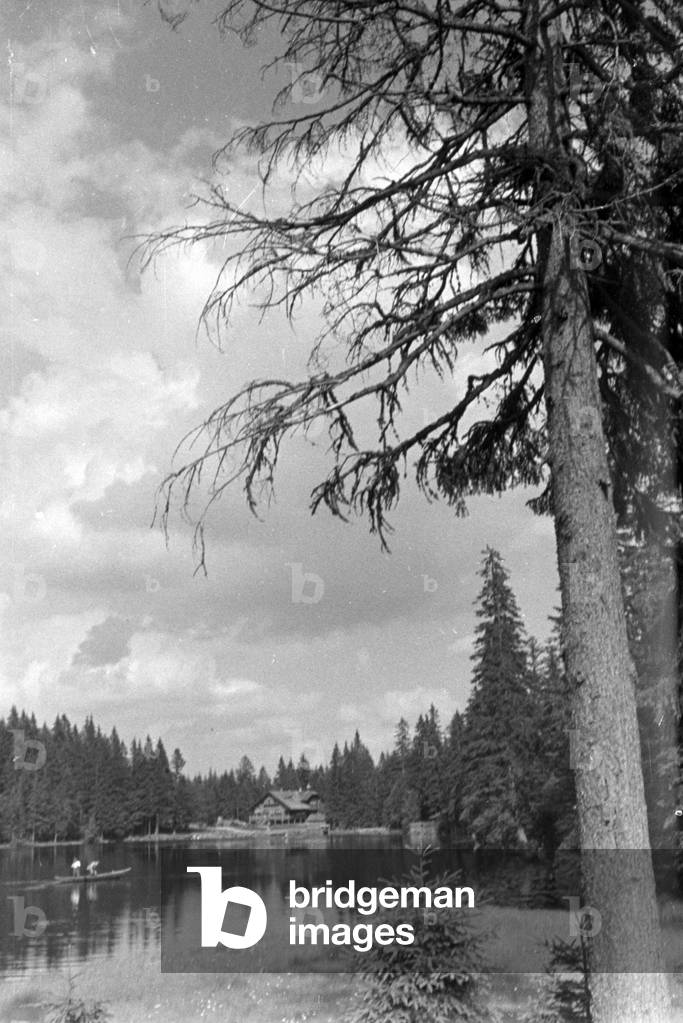 Recovery in the Bohemian Forest, Germany 1930s (b/w photo)