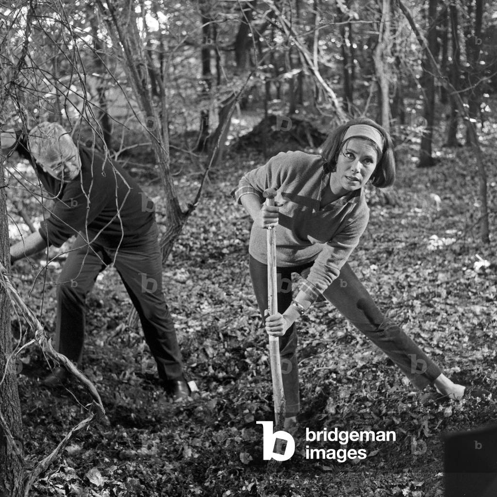 Die Gentlemen bitten zur Kasse