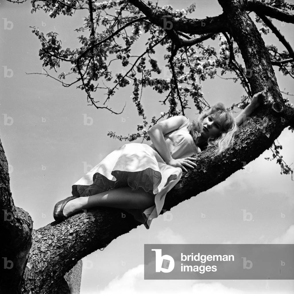German actress Karin Stoltenfeldt on a tree, Germany 1950s