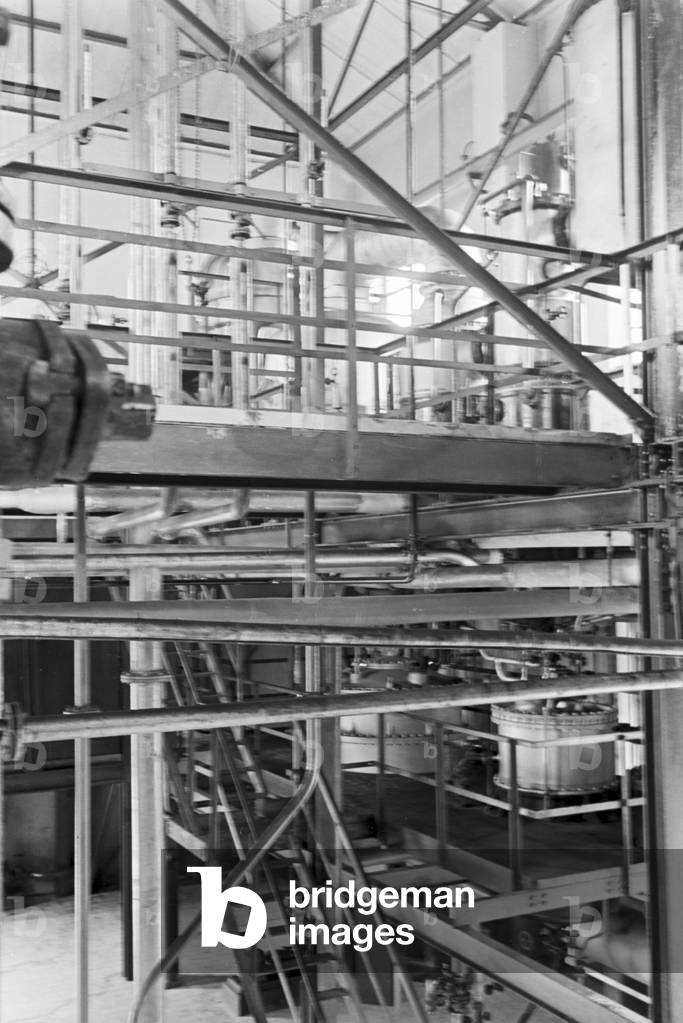 A guided tour through a factory of fatty acid in Witten, Germany 1930s (b/w photo)