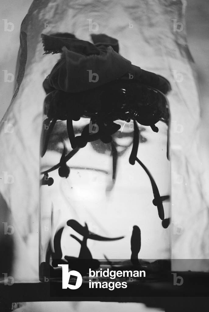 Impression of the daily business of a leech store at Berlin, Germany 1930s (b/w photo)