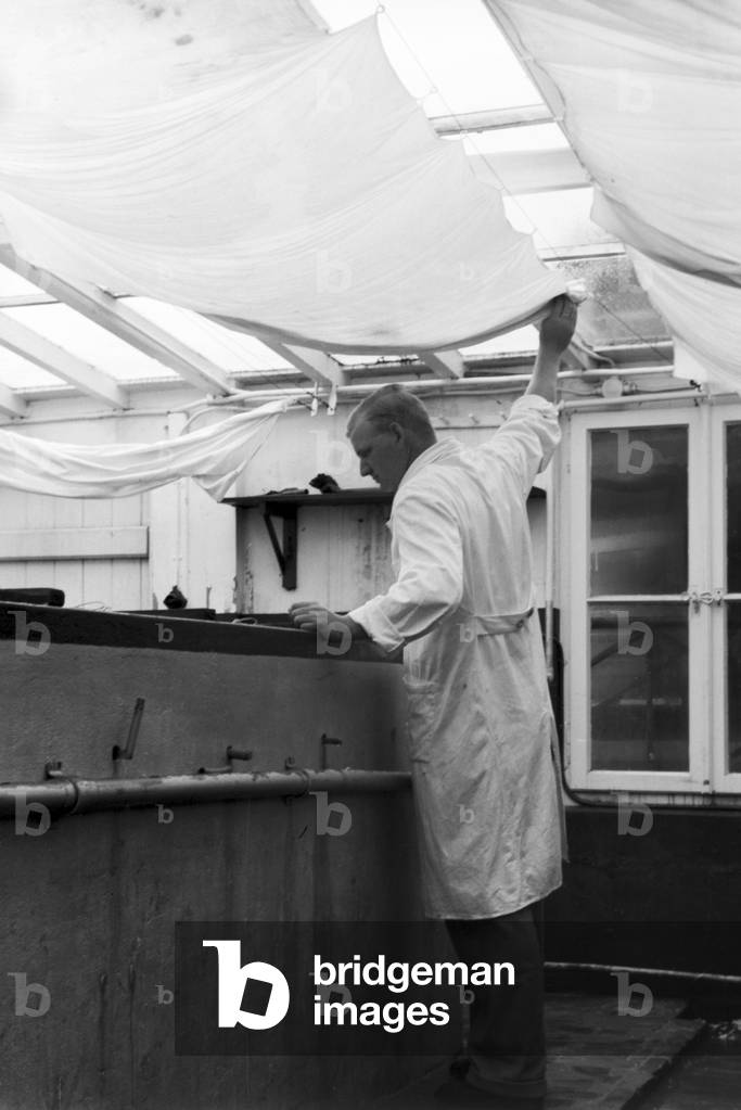 Scientific research in the German Bight, Germany 1930s (b/w photo)
