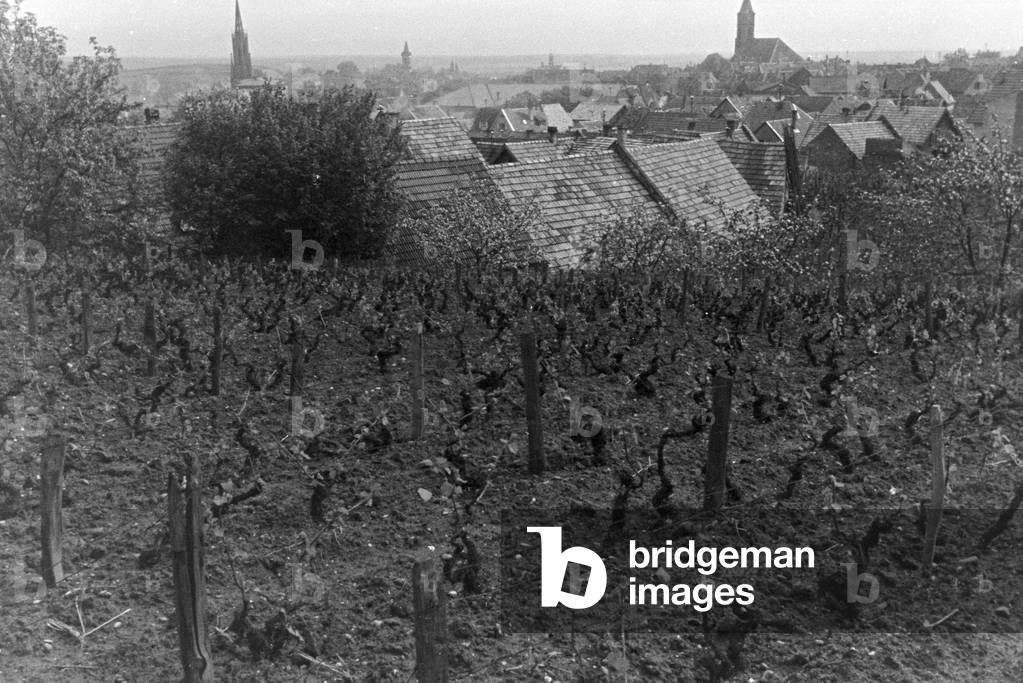 An excursion to Neustadt an der Weinstraße, Germany 1930s (b/w photo)