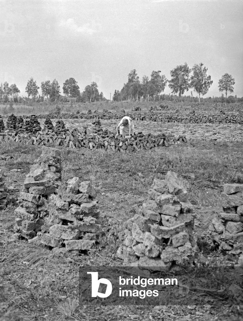 A women checking some drying turf, East Prussia, 1930s (b/w photo)