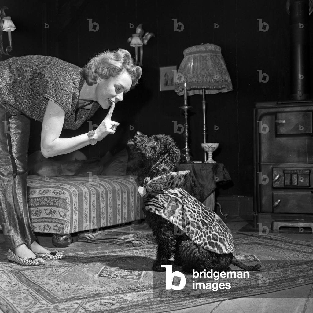 Actress Marina Ried playing with a poodle, Germany 1960s