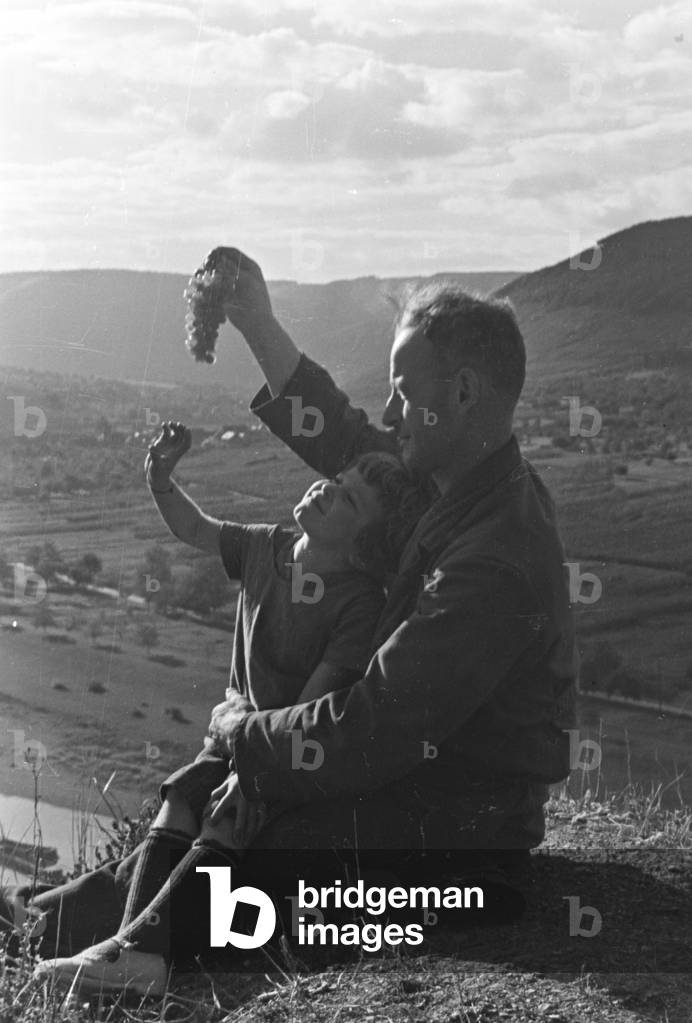 Winegrower at work in hnis vineyard near Beilstein, Germany 1930s (b/w photo)