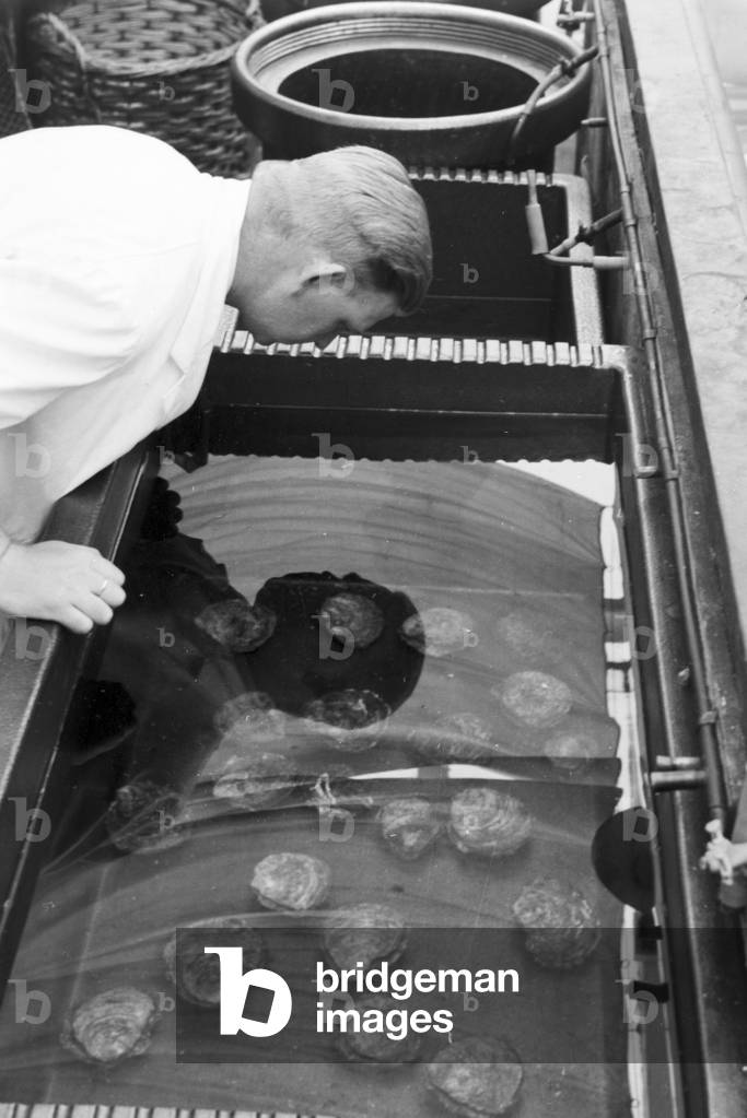 Scientific research in the German Bight, Germany 1930s (b/w photo)
