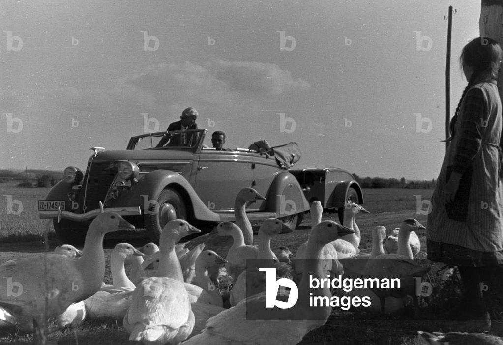 Animals you see on vacation, Germany 1930s (b/w photo)