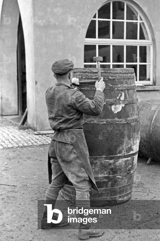 A cooper constructing a barrel fro the new harvested wine at Serrig, Germany 1930s (b/w photo)