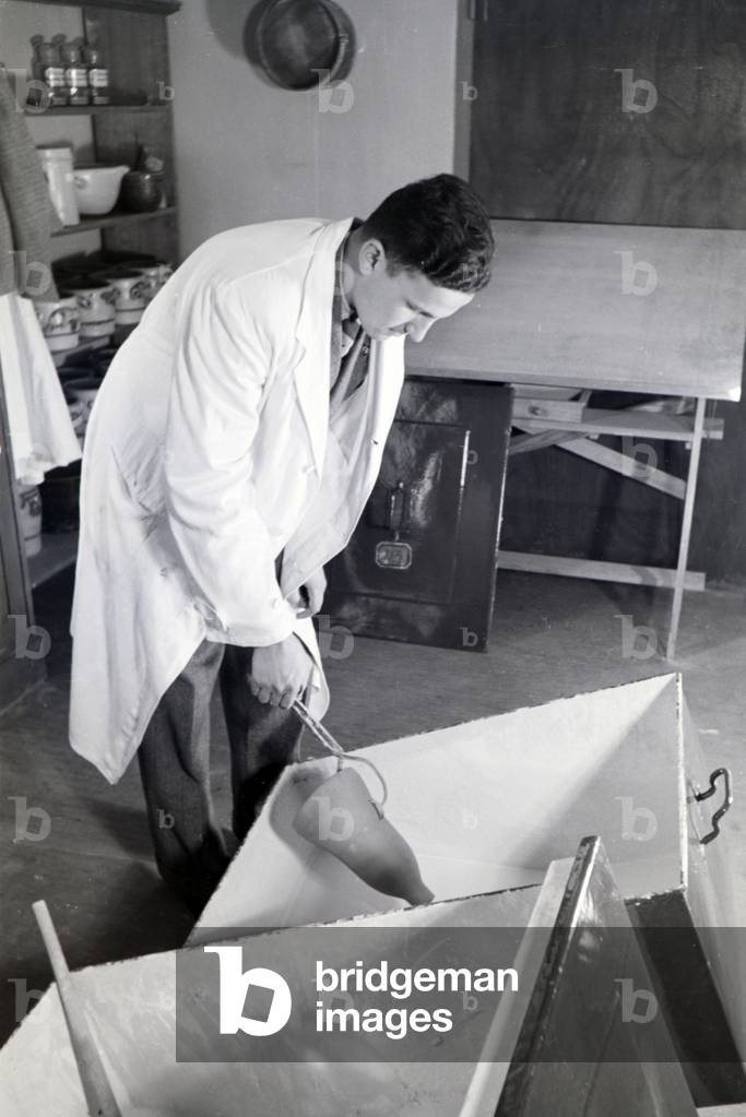 Assistant in the process of manufacturing the popular hedgehog character Meckie for the animated children´s movie The race between the Rabbit and the Hedgehog, Germany 1930s (b/w photo)
