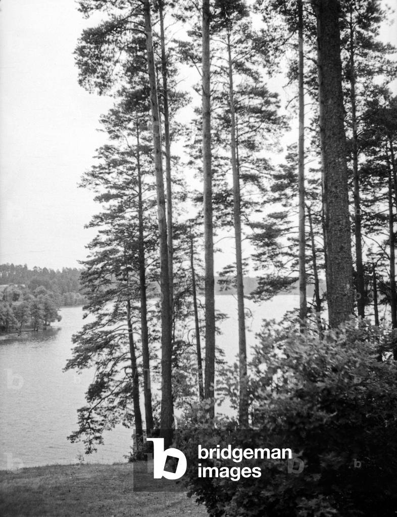 Landscape near Niedersee in Masuria, east Prussia, 1930s (b/w photo)