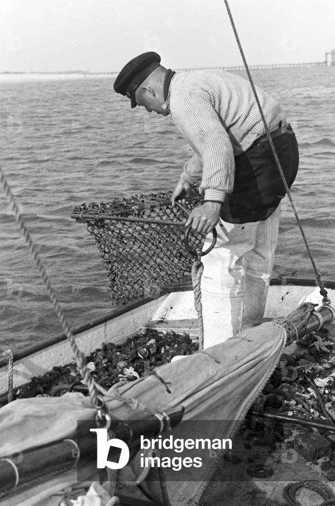 Fishermen at work, Germany 1930s (b/w photo)