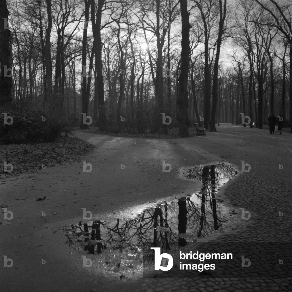 Fall at Berlin, Germany 1930s (b/w photo)