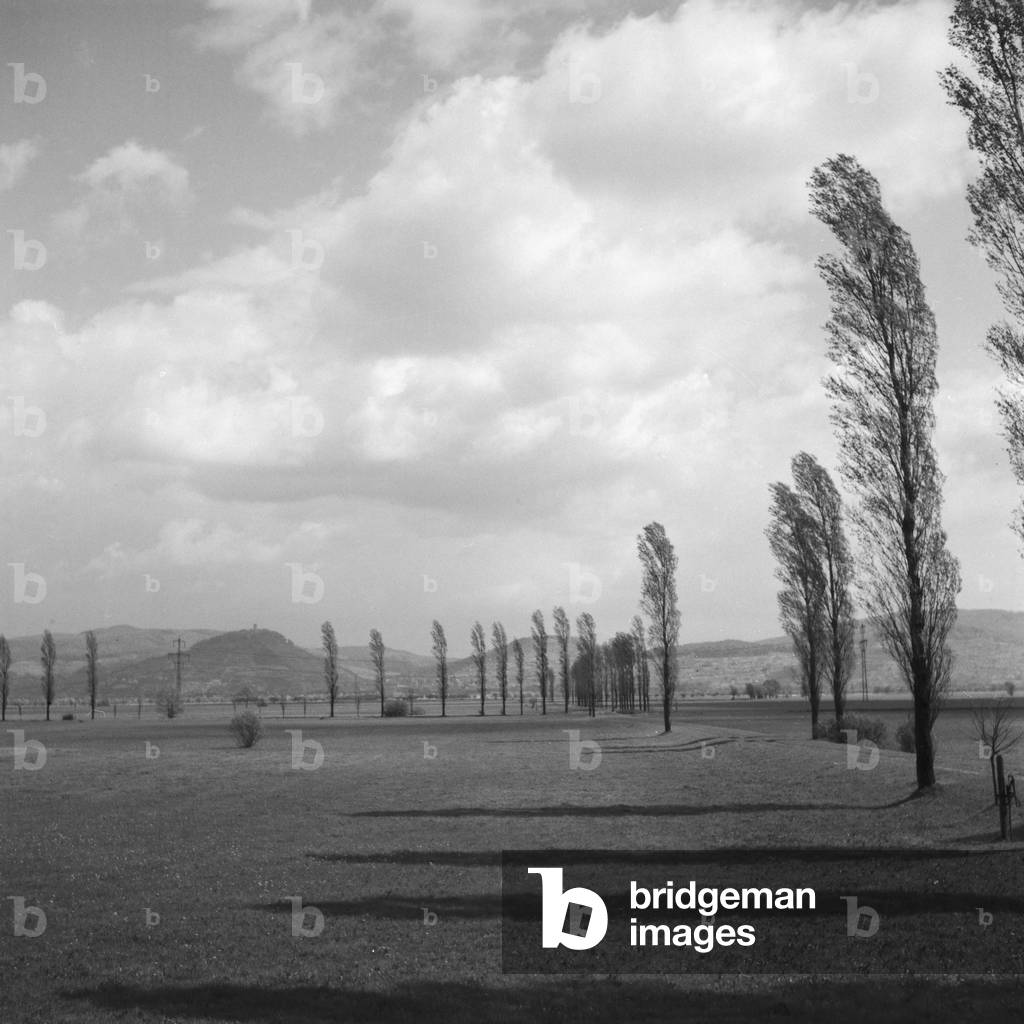 Scenic landscape around Heidelberg, Germany 1930s (b/w photo)