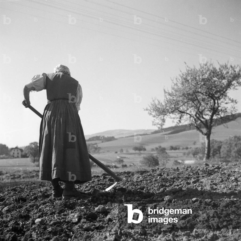 Farm woman digging her field at Black Forest region, Germany 1930s (b/w photo)