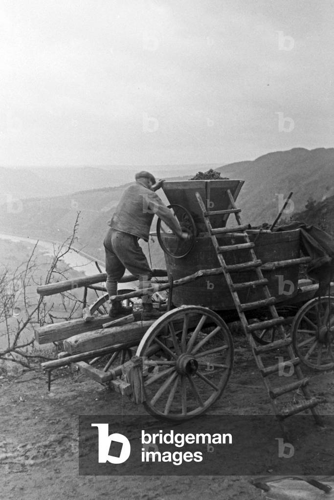 A mobile winepress in a vineyard at Serrig at river Saar, Germany 1930s (b/w photo)