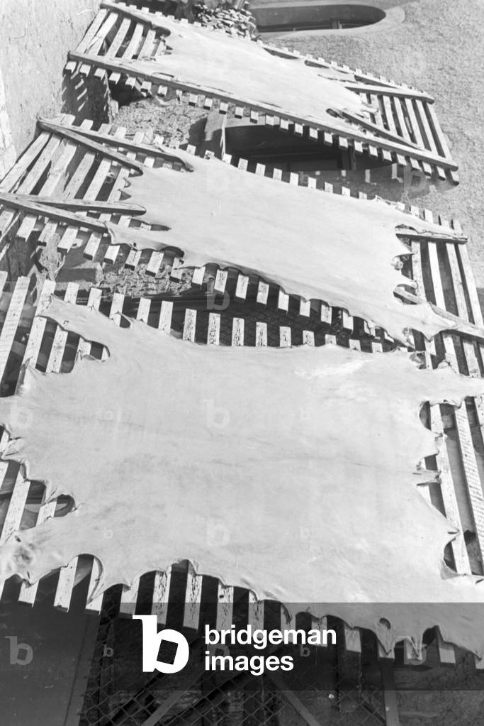 A trip to Giengen, Germany 1930s (b/w photo)