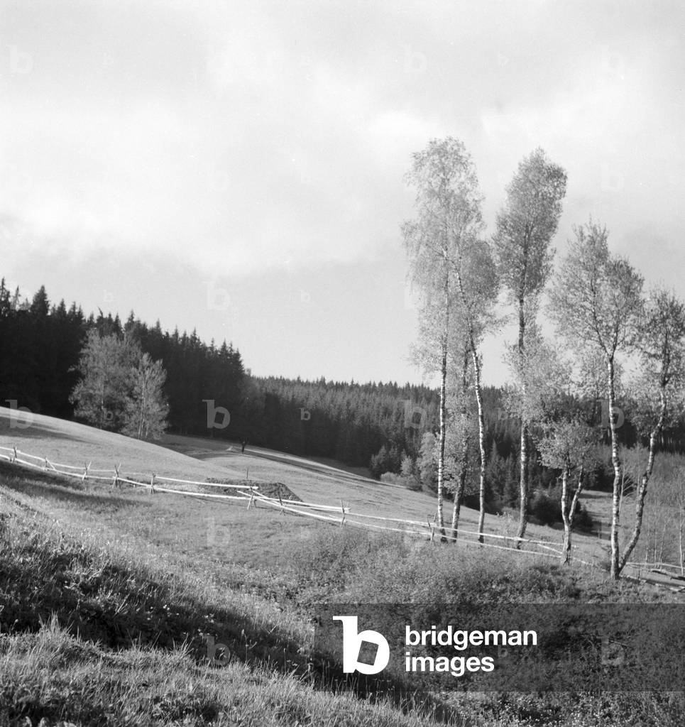 A trip to the Southern Black Forest, Germany 1930s (b/w photo)