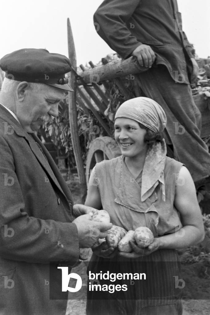 A sprinkler system in its agricultural use at a potato field, Germany 1930s (b/w photo)