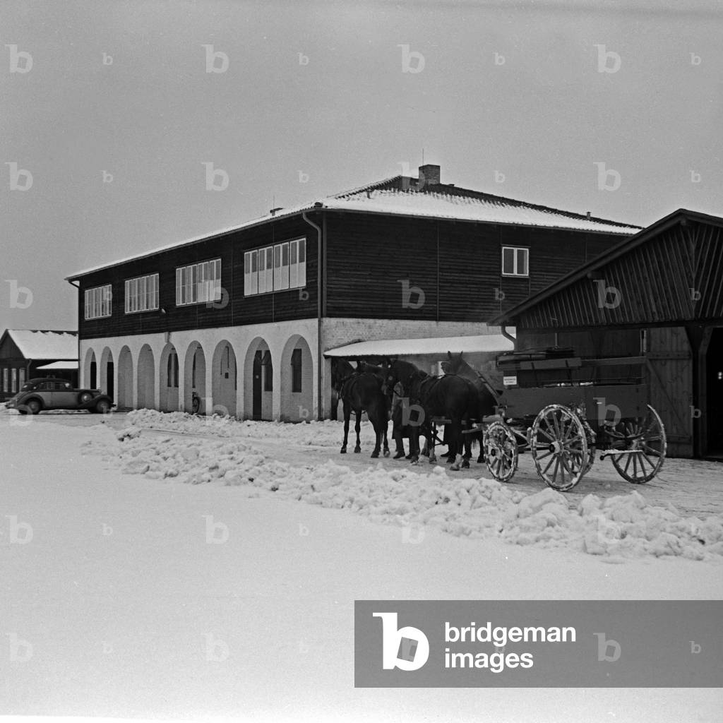 A four in hand carriage in the snow in front of the horseriding school at Berlin Zehlendorf, Germany 1930s (b/w photo)