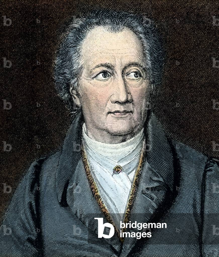 Goethe, aged 69