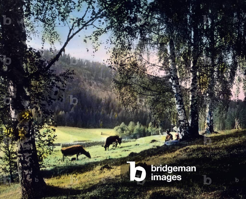 Sweden, landscape in Dalekarlien also known as Dalarna, the historic Swedish province. Image date: circa 1920. Carl Simon Archive