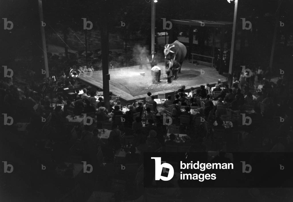 A visit to the circus near Marbach, Germany 1930 (b/w photo)