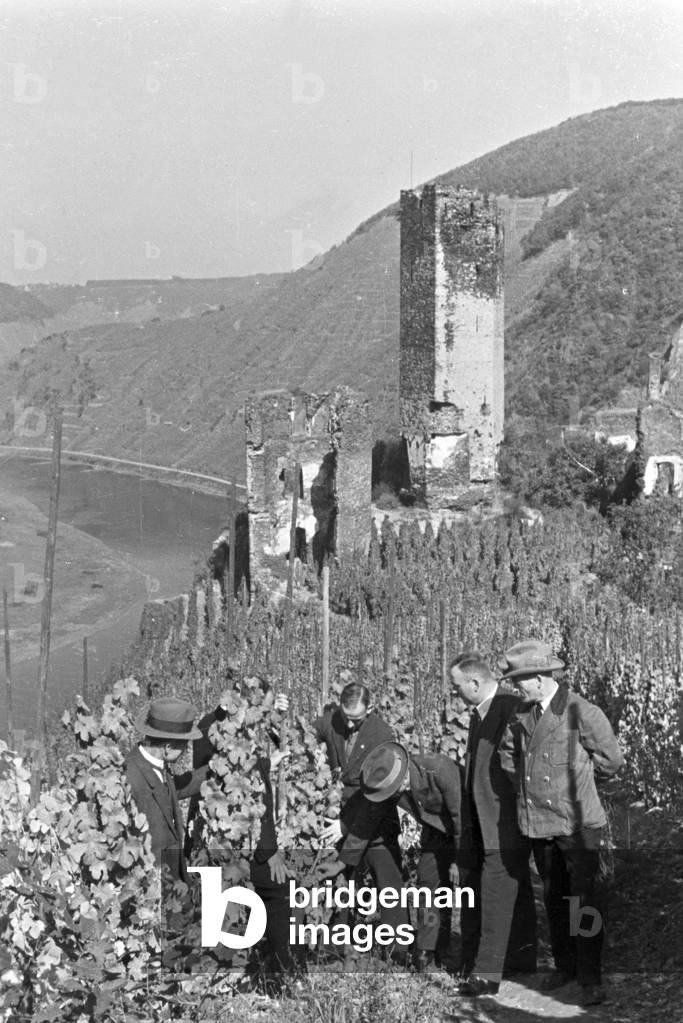 Winegrower at work in the vineyard, Germany 1930s (b/w photo)