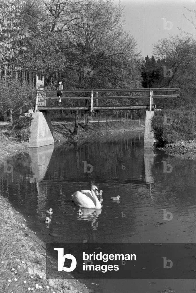 A trip to Bad Friedrichshall, Germany 1930s (b/w photo)