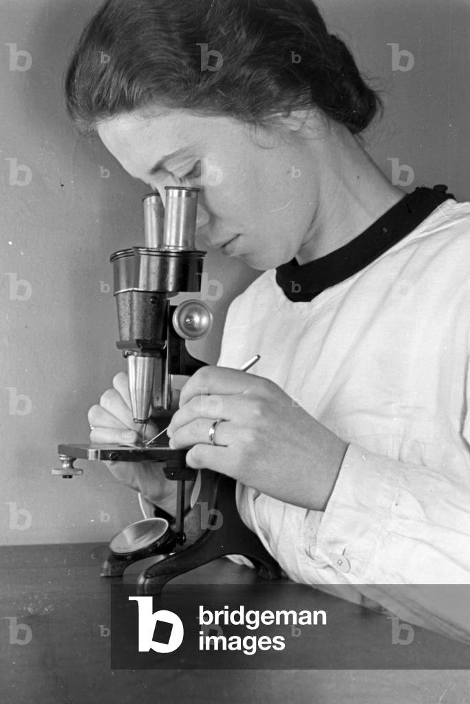 Staff member of Robert Koch institute at Berlin doing researches in the fight against the Tsetse fly, Germany 1930s (b/w photo)