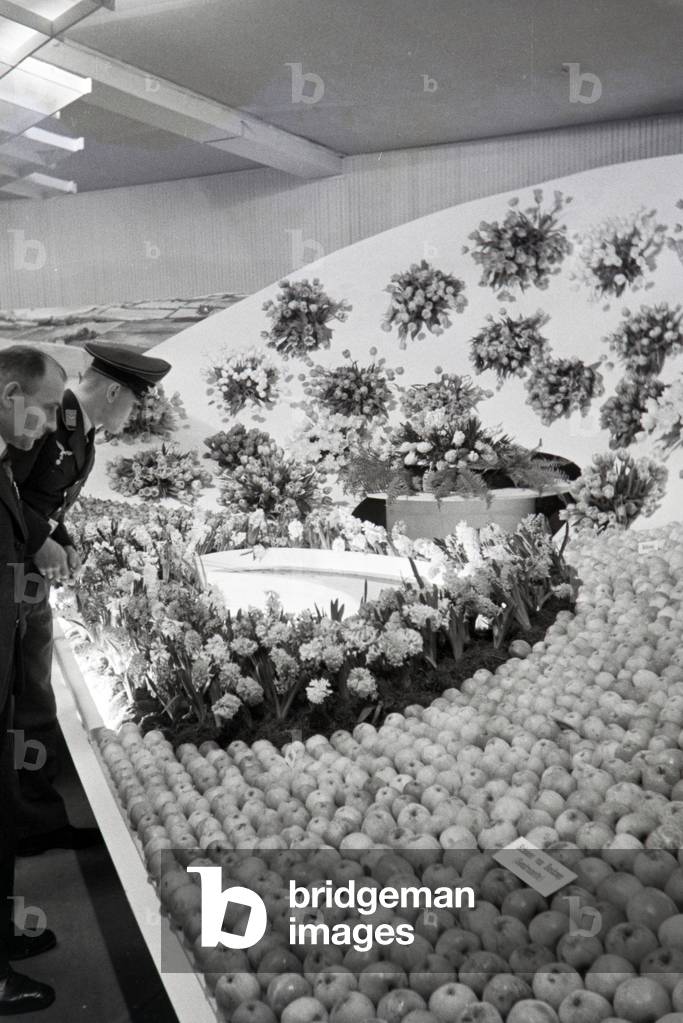 Visitors of the Leipziger Frühjahrsmesse at a stand by the Netherlands with flowers and Boskop apples, Germany 1941 (b/w photo)