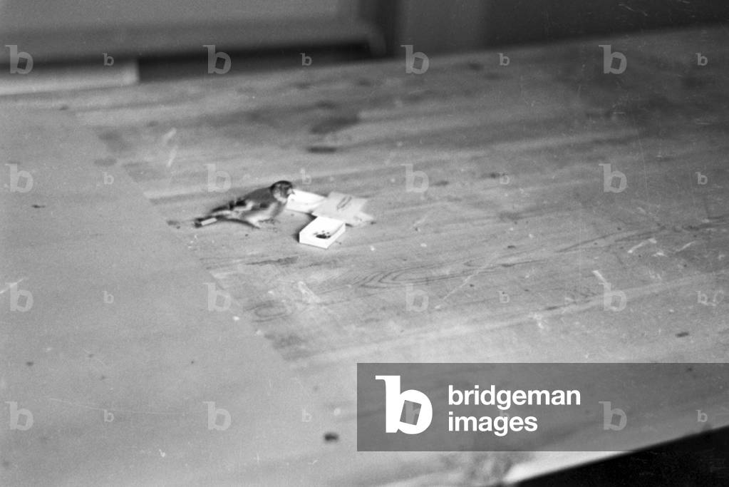A little bird on his cage, Germany 1930s (b/w photo)