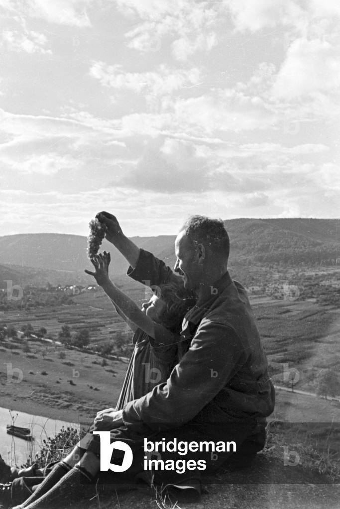 Winegrower at work in hnis vineyard near Beilstein, Germany 1930s (b/w photo)