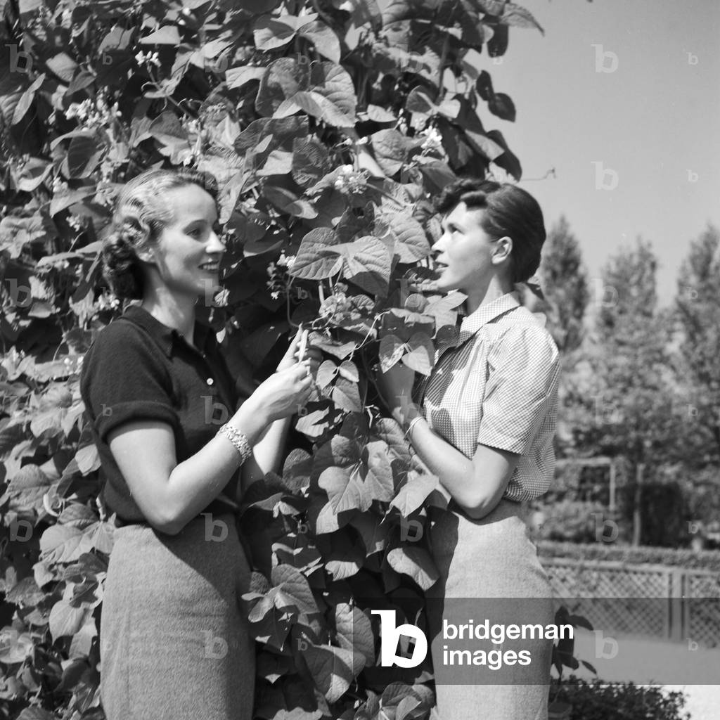 Two young women at a public garden, Germany 1930s (b/w photo)