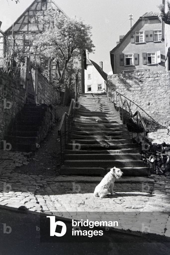 An excursion to Wimpfen, Germany 1930s (b/w photo)