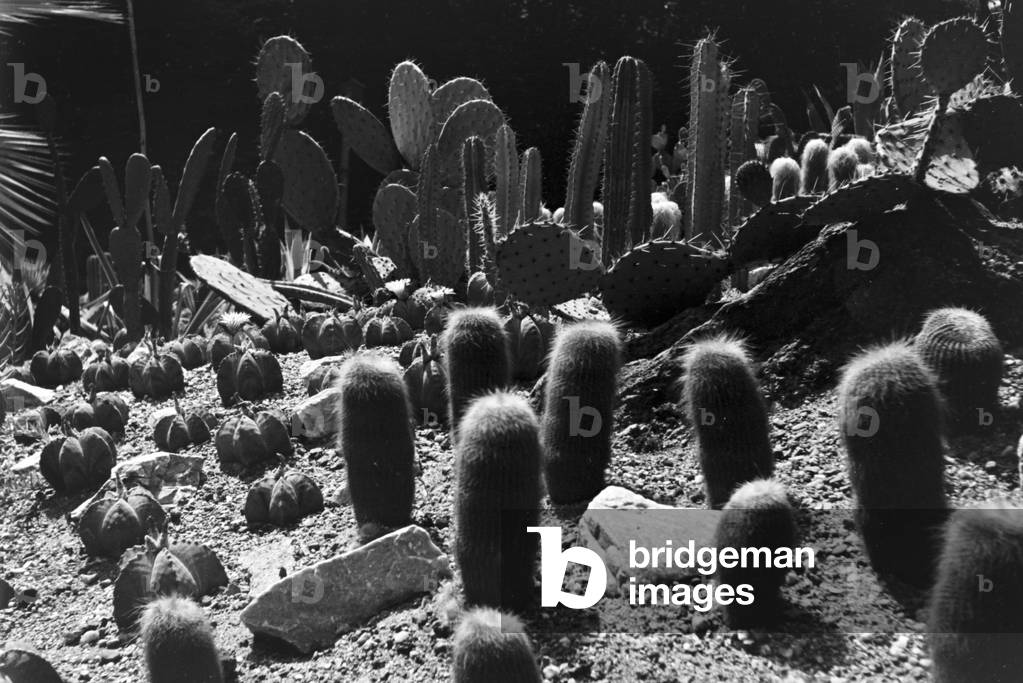 A trip to Liegnitz, Germany 1930s (b/w photo)