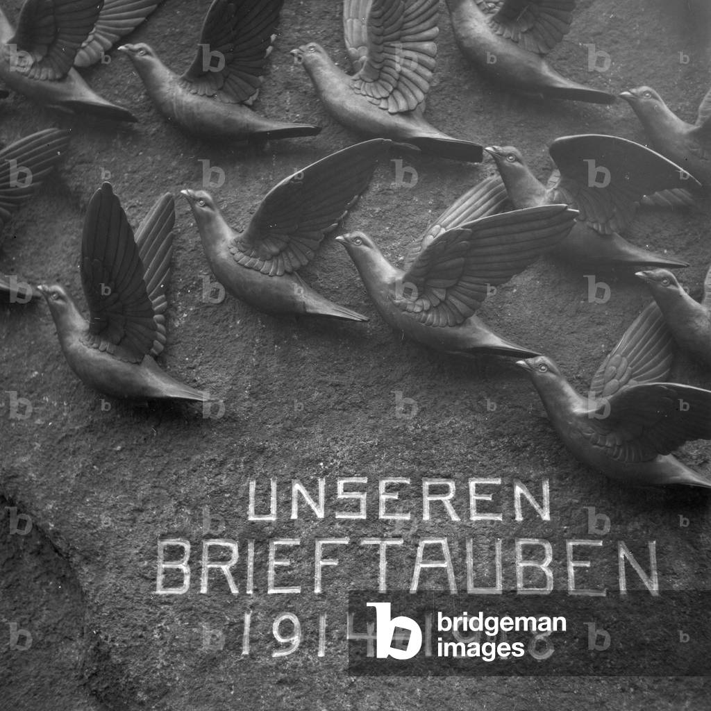 Monument for the carrier pigeons and their uits fot WWI, Germany 1930s (b/w photo)
