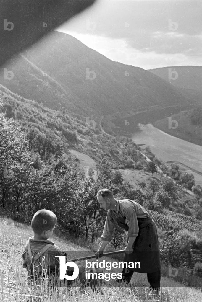 Winegrower at work in the vineyard, Germany 1930s (b/w photo)