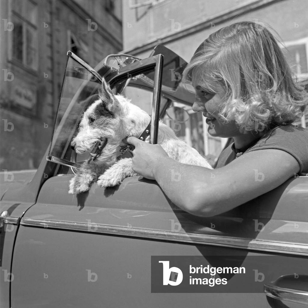 A young woman and a fox terrier at the steering wheel of an Opel Blitz, Austria 1930s (b/w photo)