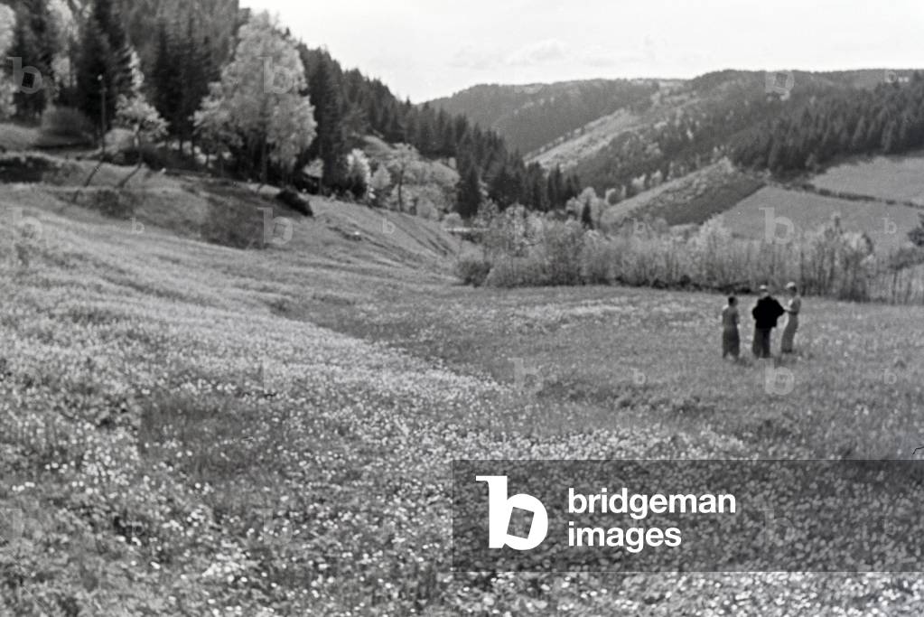 Hikers standing on a field in the Danube Dale, Germany 1930s (b/w photo)