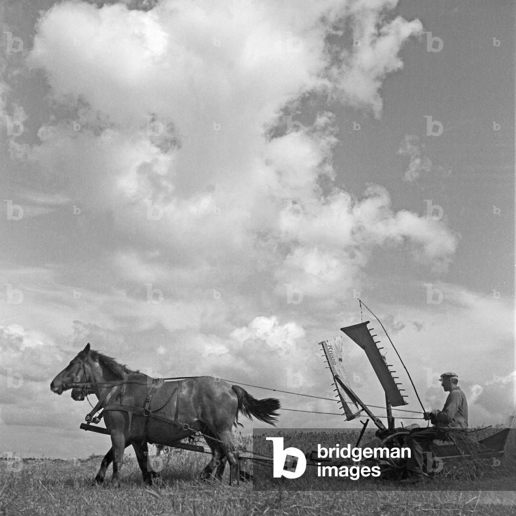A farmer ploughing his field in Masuria in East Prussia, Germany 1930s (b/w photo)