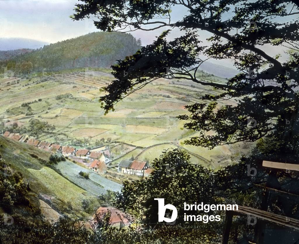 A view from the mountain Kreuzklippe on the town of Wieda
